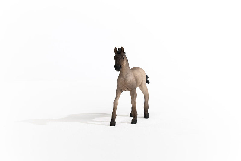 SCHLEICH CRIOLLO DEFINITIVO FOAL