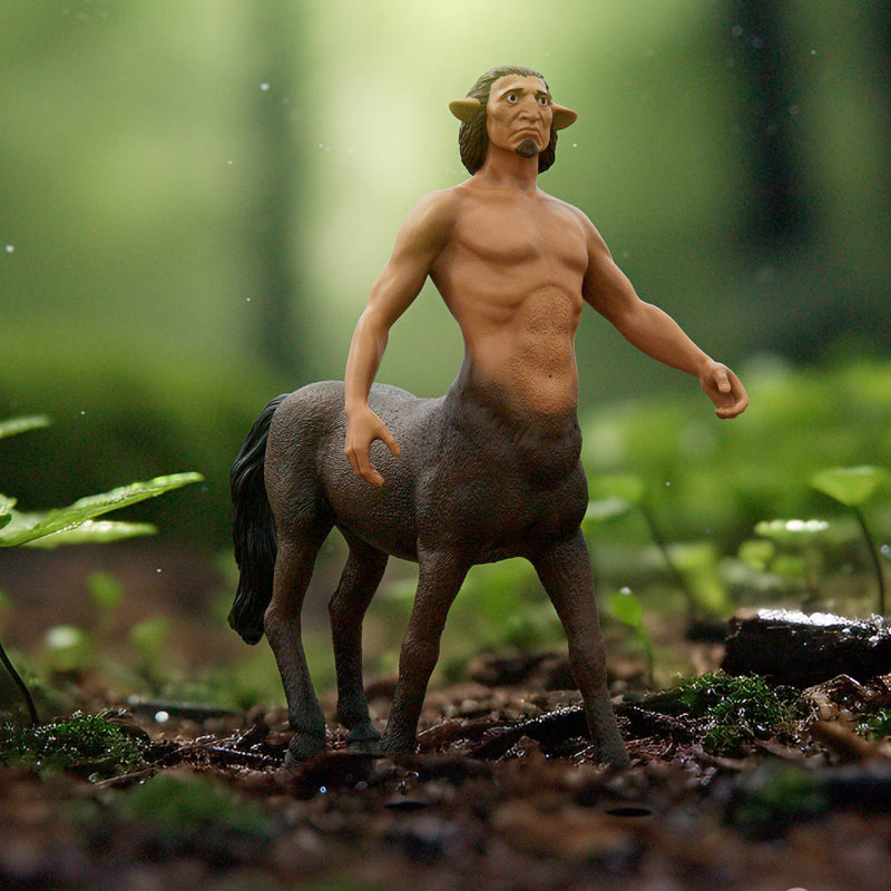 SCHLEICH HARRY POTTER FIRENZE