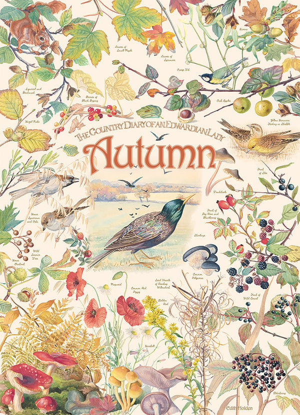 COBBLE HILL- COUNTRY DIARY AUTUMN 1000PC