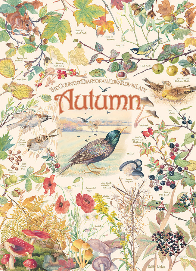 COBBLE HILL- COUNTRY DIARY AUTUMN 1000PC