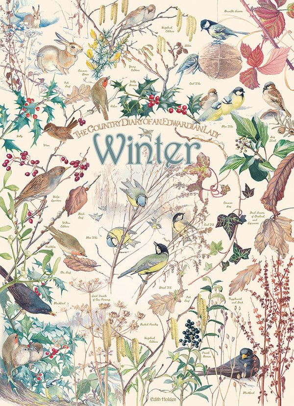 COB40095 COUNTRY DIARY WINTER 1000PC