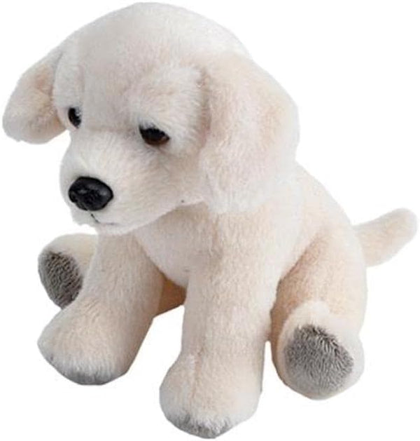 WILD REPUBLIC POCKETKINS ECO YELLOW LABRADOR