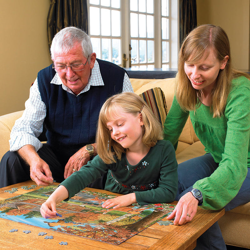 COBBLE HILL- COTTAGE POND 350PC FAMILY