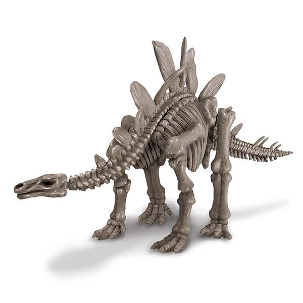 4M DIG A DINOSAUR- STEGOSAURUS