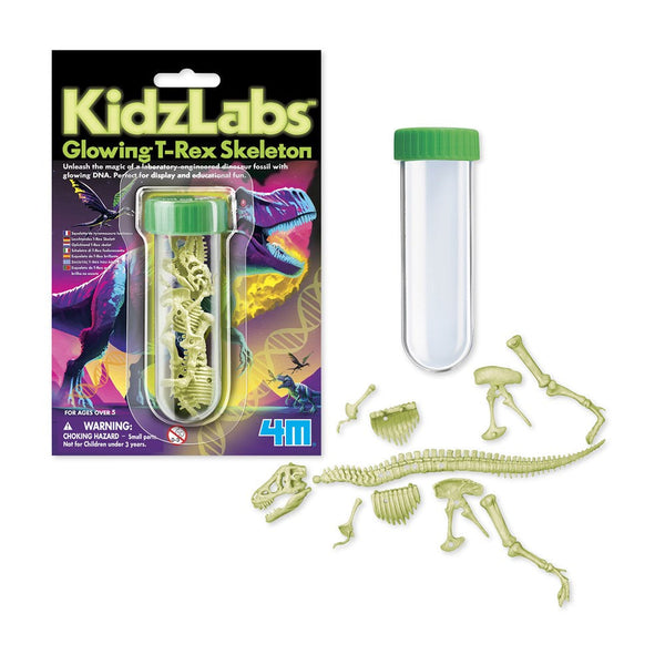 4M KIDZLABS- GLOWING T-REX SKELETON