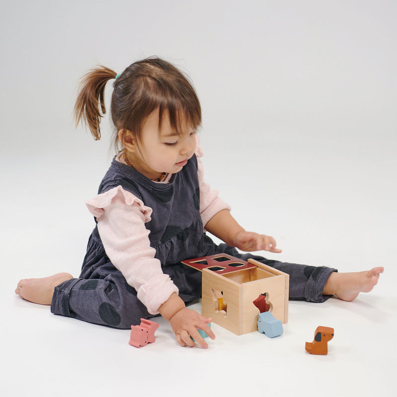 MENTARI BAMBINO SHAPE SORTING CUBE