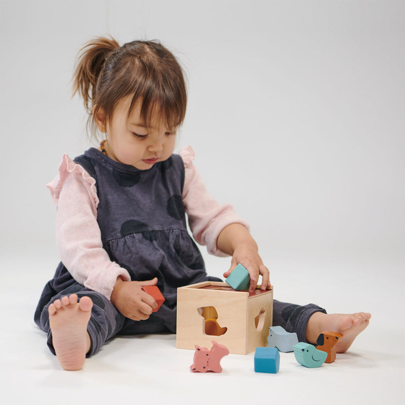 MENTARI BAMBINO SHAPE SORTING CUBE