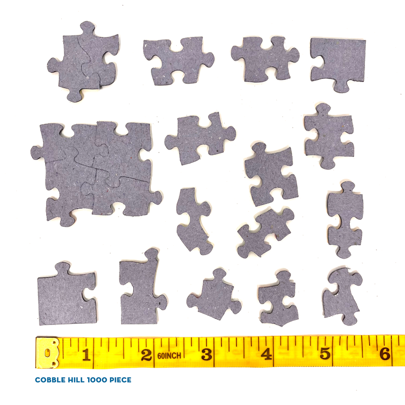 COBBLE HILL- 50 STATES QUILT BLOCKS 1000PC