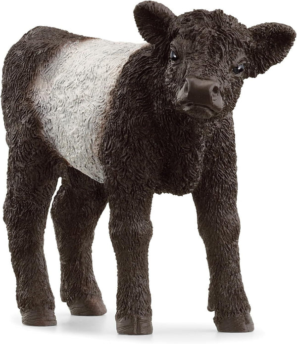 SCHLEICH GALLOWAY CALF