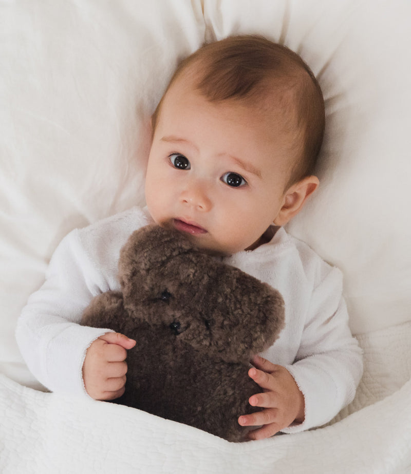 Flatout Flat Baby Bear