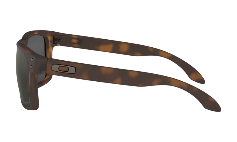 Holbrook tortoise clearance