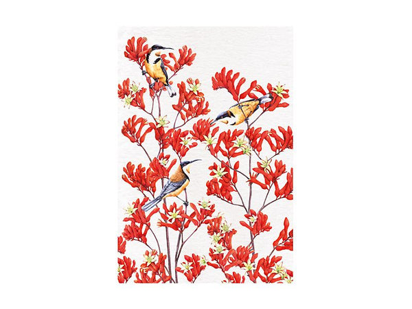 Maxwell & Williams RBG Garden Friends Tea Towel Spinebill - 50x70cm